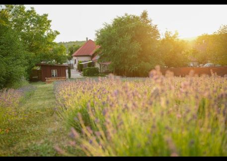 Pauza Apartmanház – Demjén fotó 1