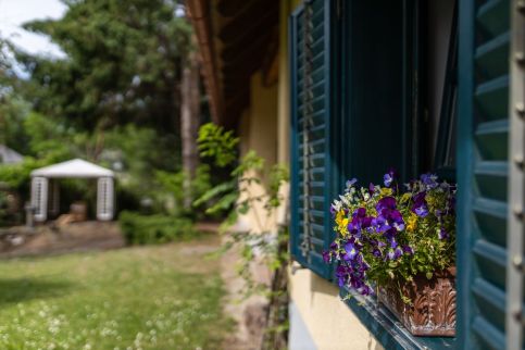 Kalandor Vendégház - The Explorer's Lodge – Fenyőfő fotó 28