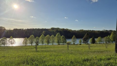 Tófény Örségi Vendégház – Zalalövő fotó 13