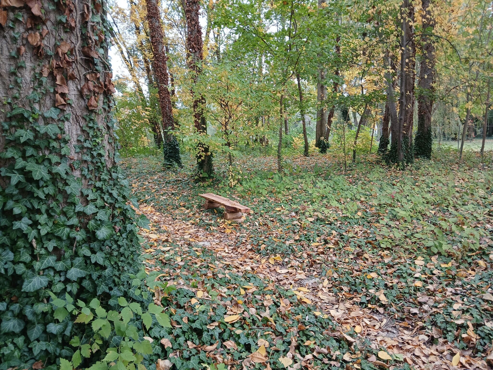 Hídláb Apartman 2 – Kimle fotó 7