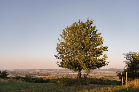 Holdfény Birtok Vendégház – Magyarszerdahely fotó 15
