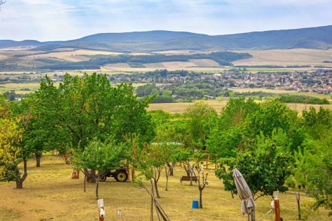 Sofia Szeretet Farm és Vendégház – Pásztó fotó 7