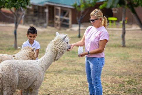 Sofia Szeretet Farm és Vendégház – Pásztó fotó 10