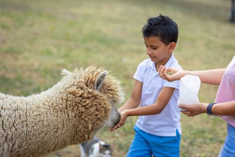 Sofia Szeretet Farm és Vendégház – Pásztó fotó 11