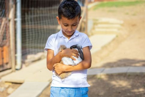 Sofia Szeretet Farm és Vendégház – Pásztó fotó 15