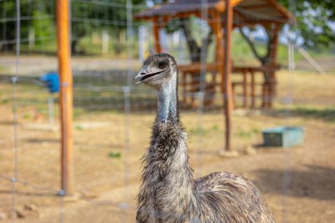 Sofia Szeretet Farm és Vendégház – Pásztó fotó 18