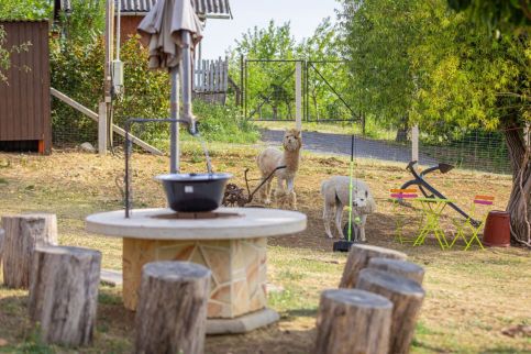 Sofia Szeretet Farm és Vendégház – Pásztó fotó 22