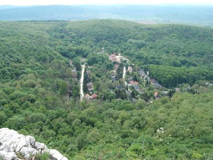 Szarvasbőgés a Klastromszirti Panoráma Vendégházban – Kesztölc fotó 1