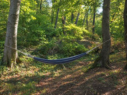 Szarvasbőgés a Klastromszirti Panoráma Vendégházban – Kesztölc fotó 10