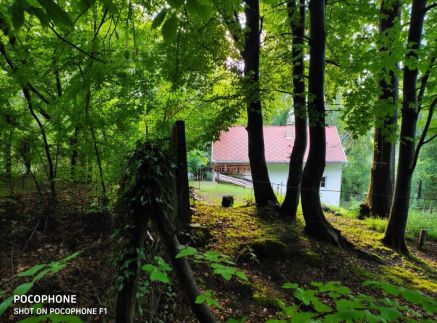 Szarvasbőgés a Klastromszirti Panoráma Vendégházban – Kesztölc fotó 4