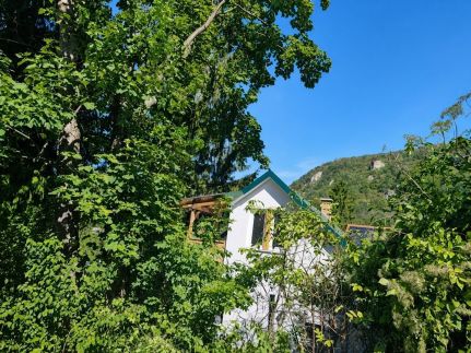Szarvasbőgés a Klastromszirti Panoráma Vendégházban – Kesztölc