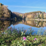 Nefelejcs Vendégház – Pécsvárad