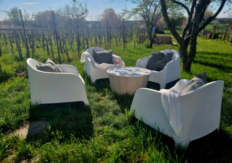 Somló Green – Somlószőlős fotó 21