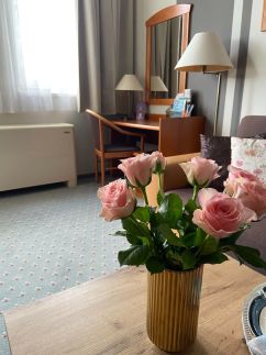 BeWell Apartman – Zalakaros fotó 1