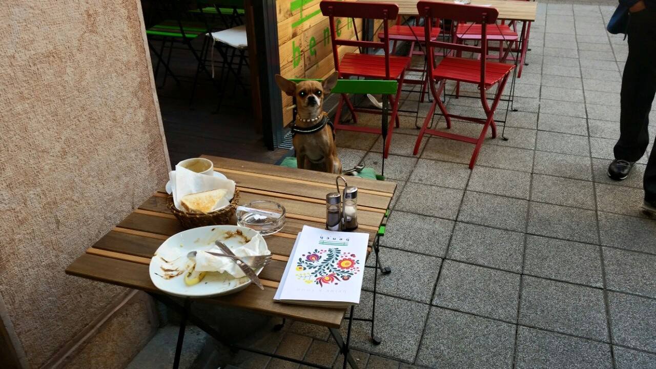 Bench Café – Budapest VII. kerület fotó 3