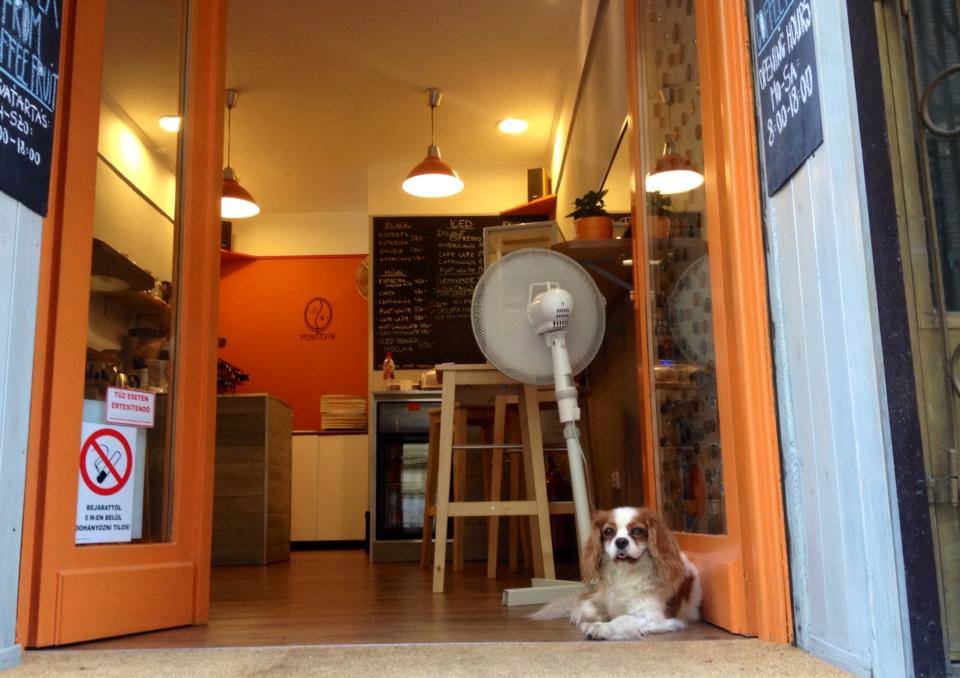 Mantra Coffee – Budapest V. kerület fotó 3