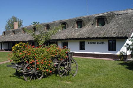 Somodi Tanya Fülöpháza – Fülöpháza fotó 22