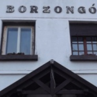Borzongó