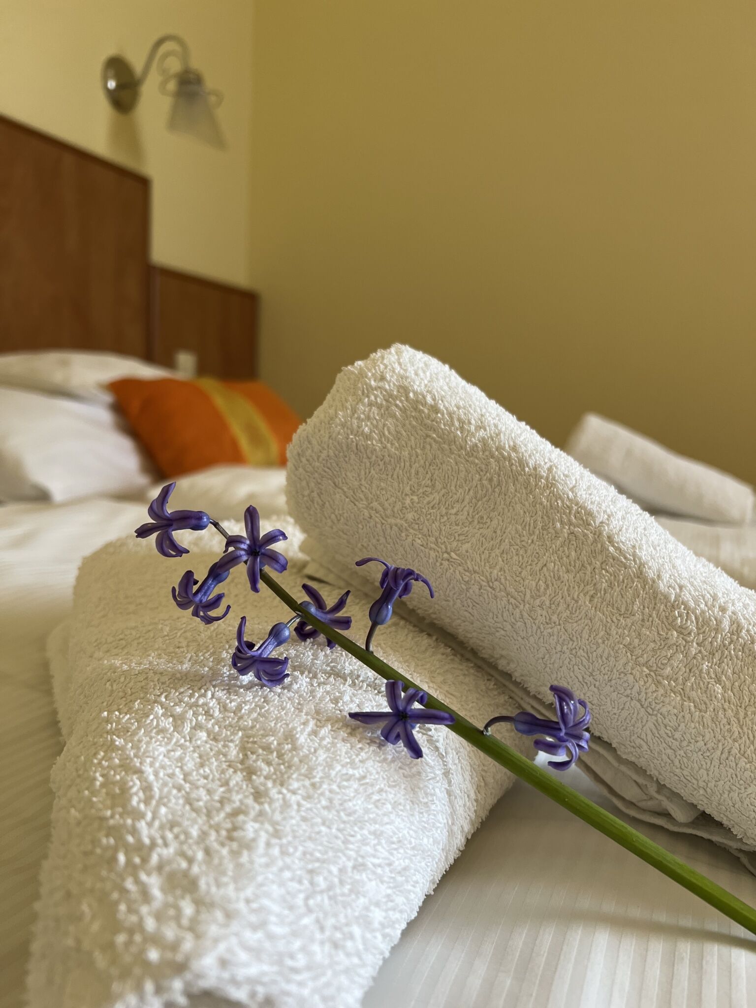 AquaTherm Hotel Zalakaros – Zalakaros fotó 16