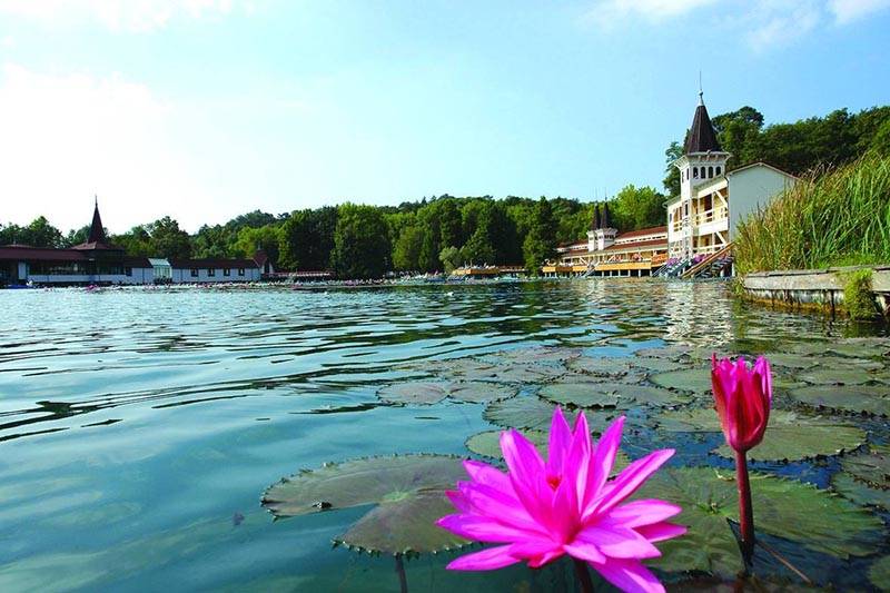 Főnix Club Hotel & Wellness – Hévíz fotó 12
