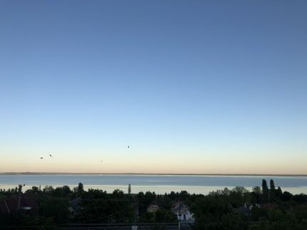 Tóranéző Vendégház35