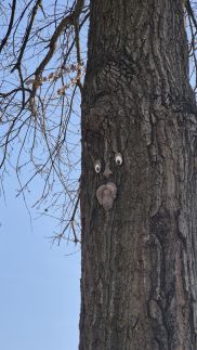 The Corner House Panzió10