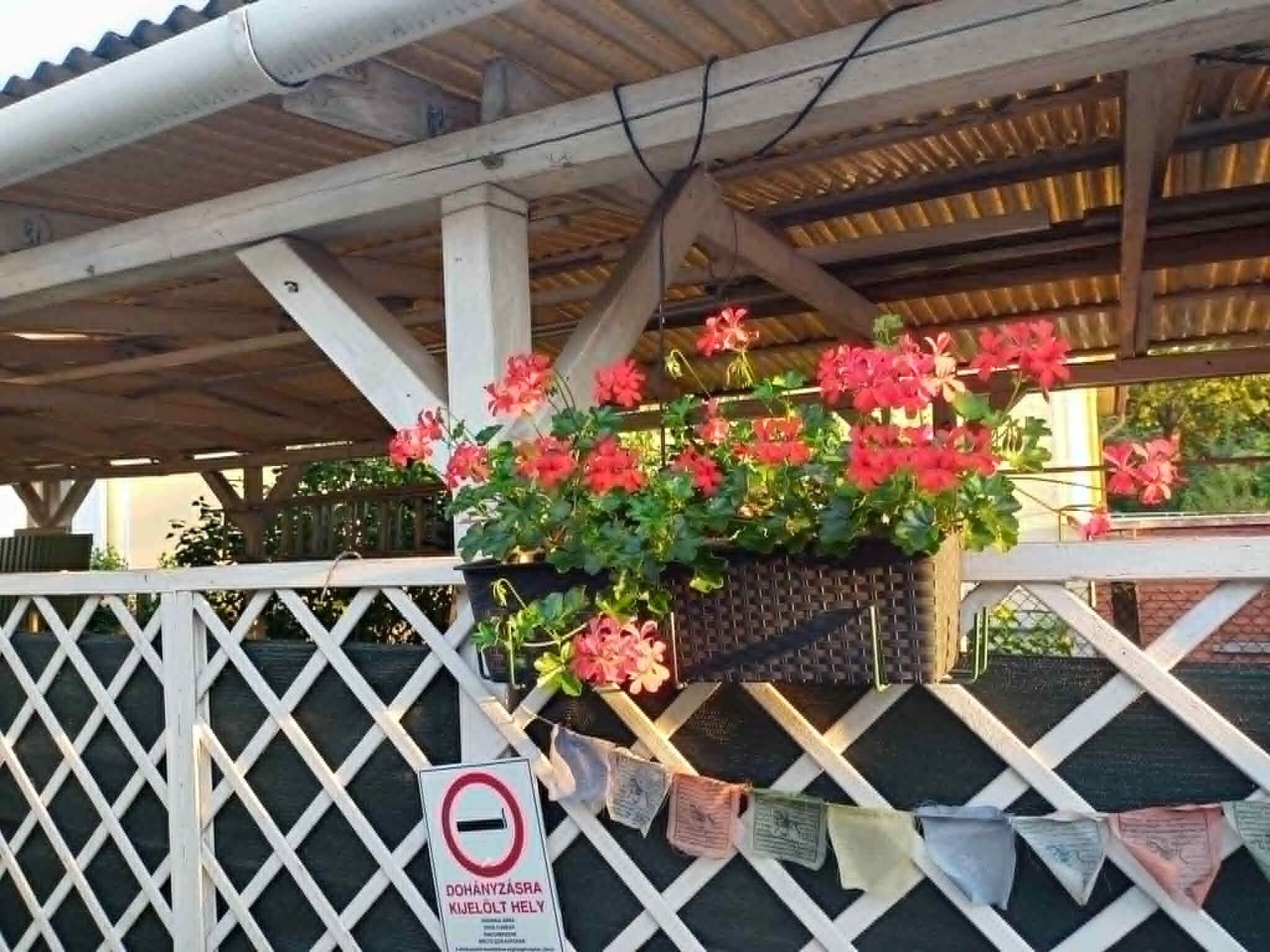 Zöld Sziget Apartman – Gyula fotó 67