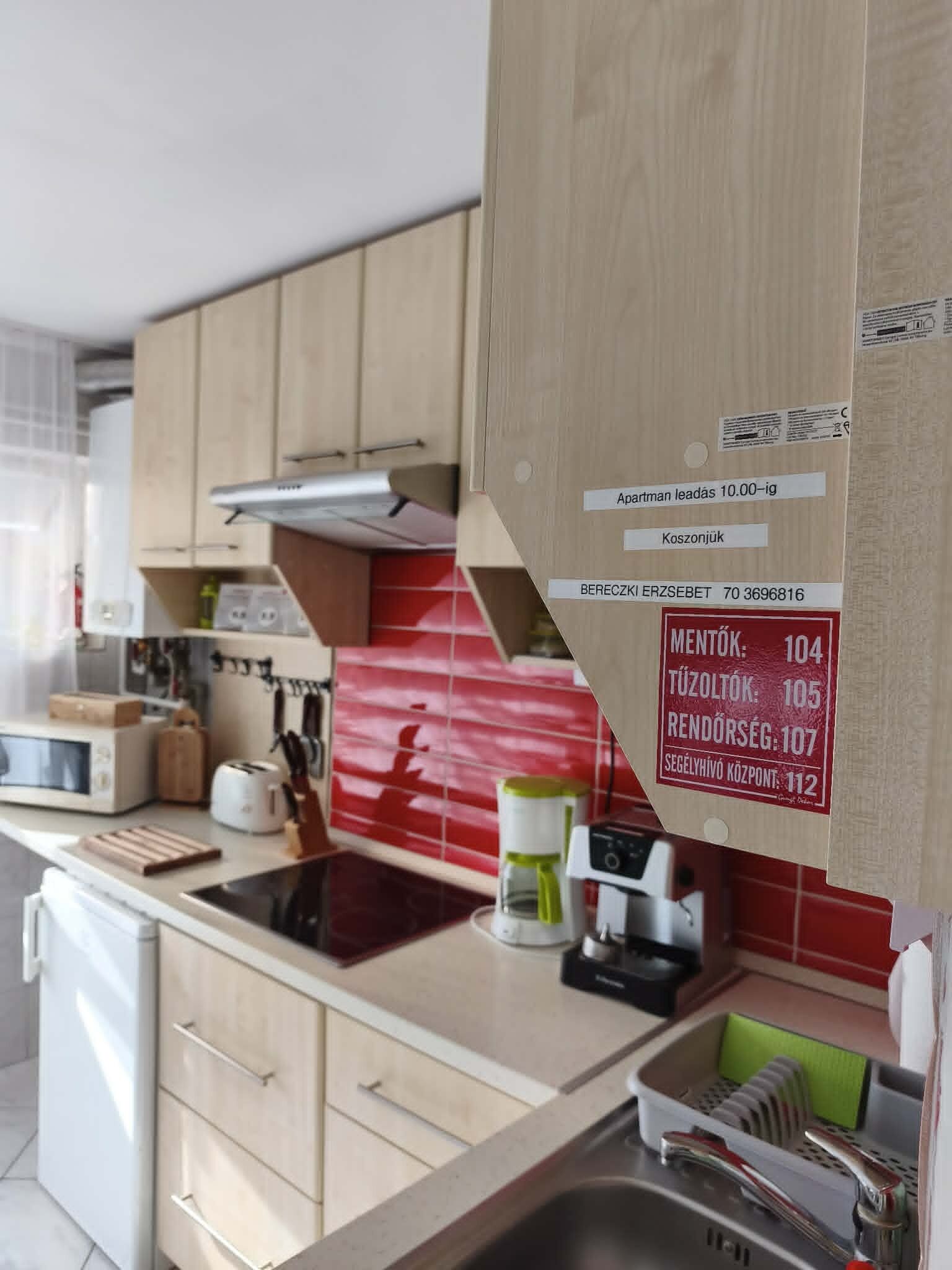 Zöld Sziget Apartman – Gyula fotó 15