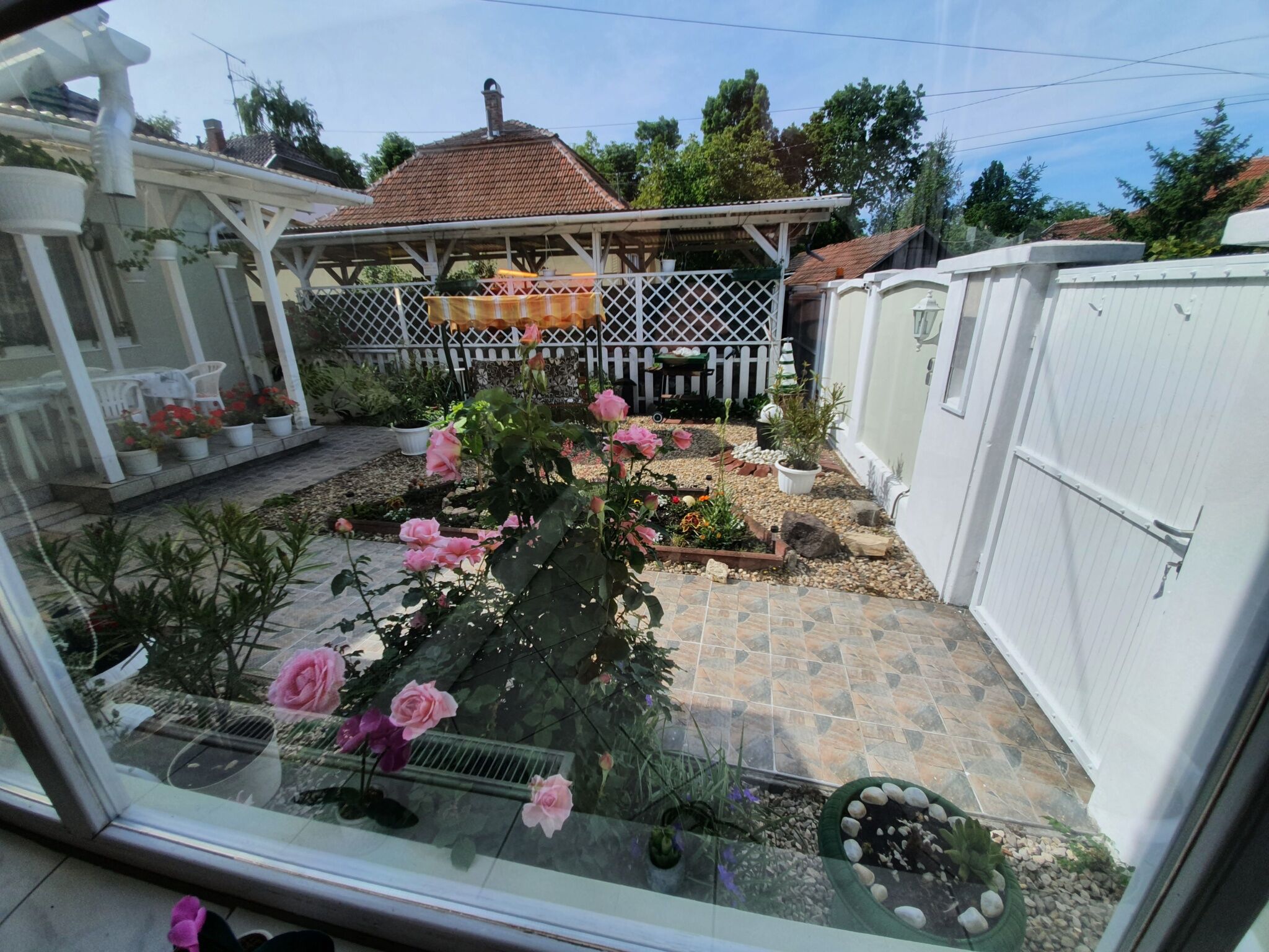 Zöld Sziget Apartman – Gyula fotó 19