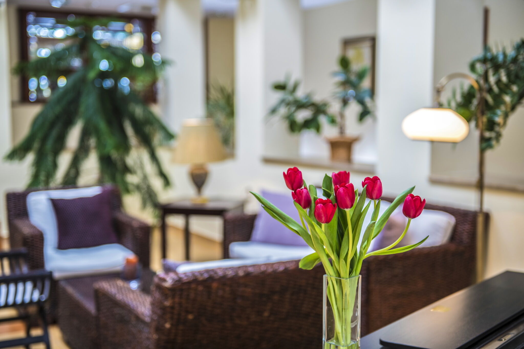 Forest Hills Hotel & Golf – Zirc