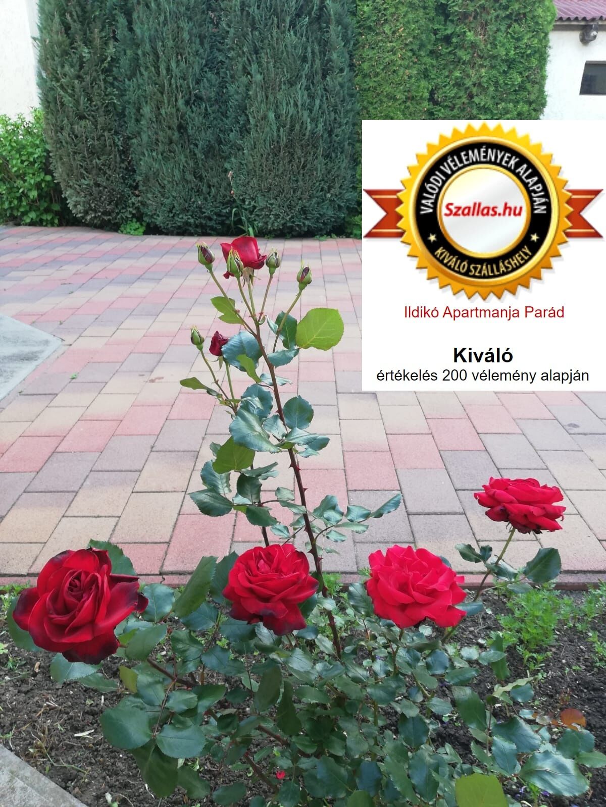 Ildikó Apartmanja – Parád fotó 25