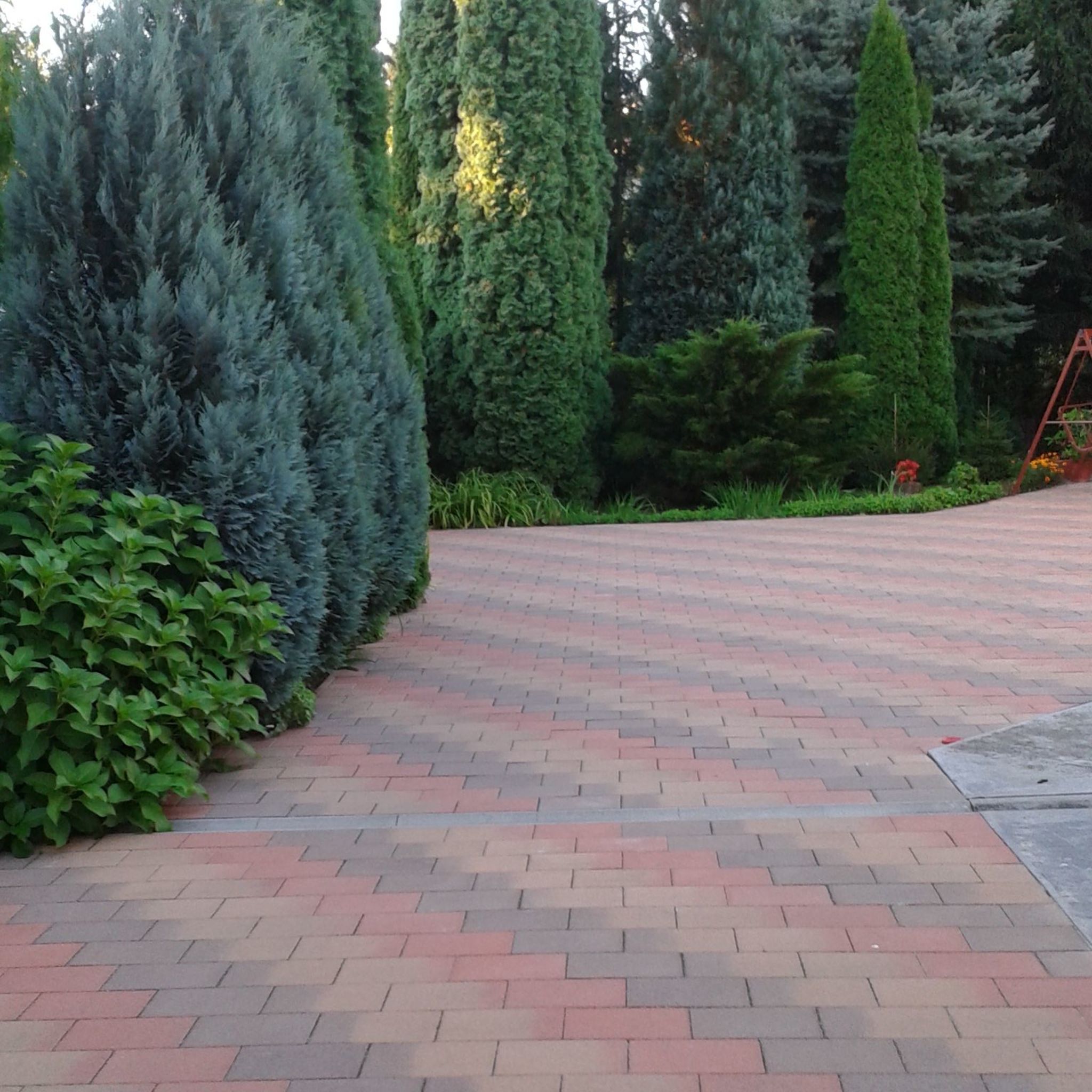 Ildikó Apartmanja – Parád fotó 6