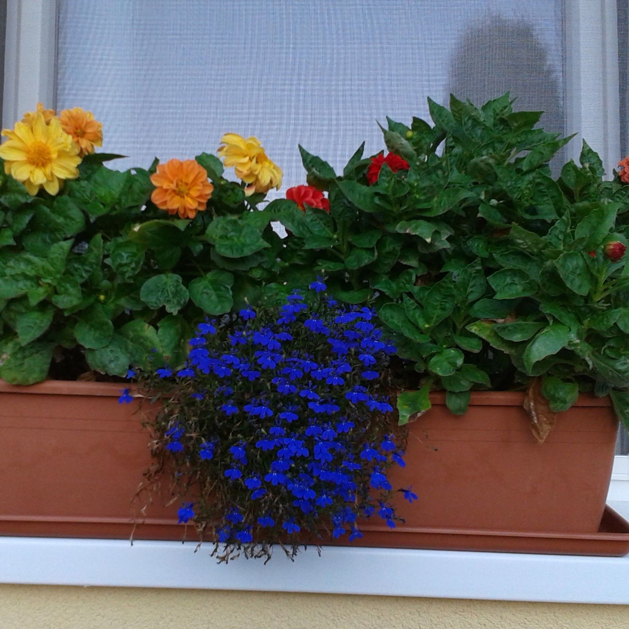 Ildikó Apartmanja – Parád fotó 9