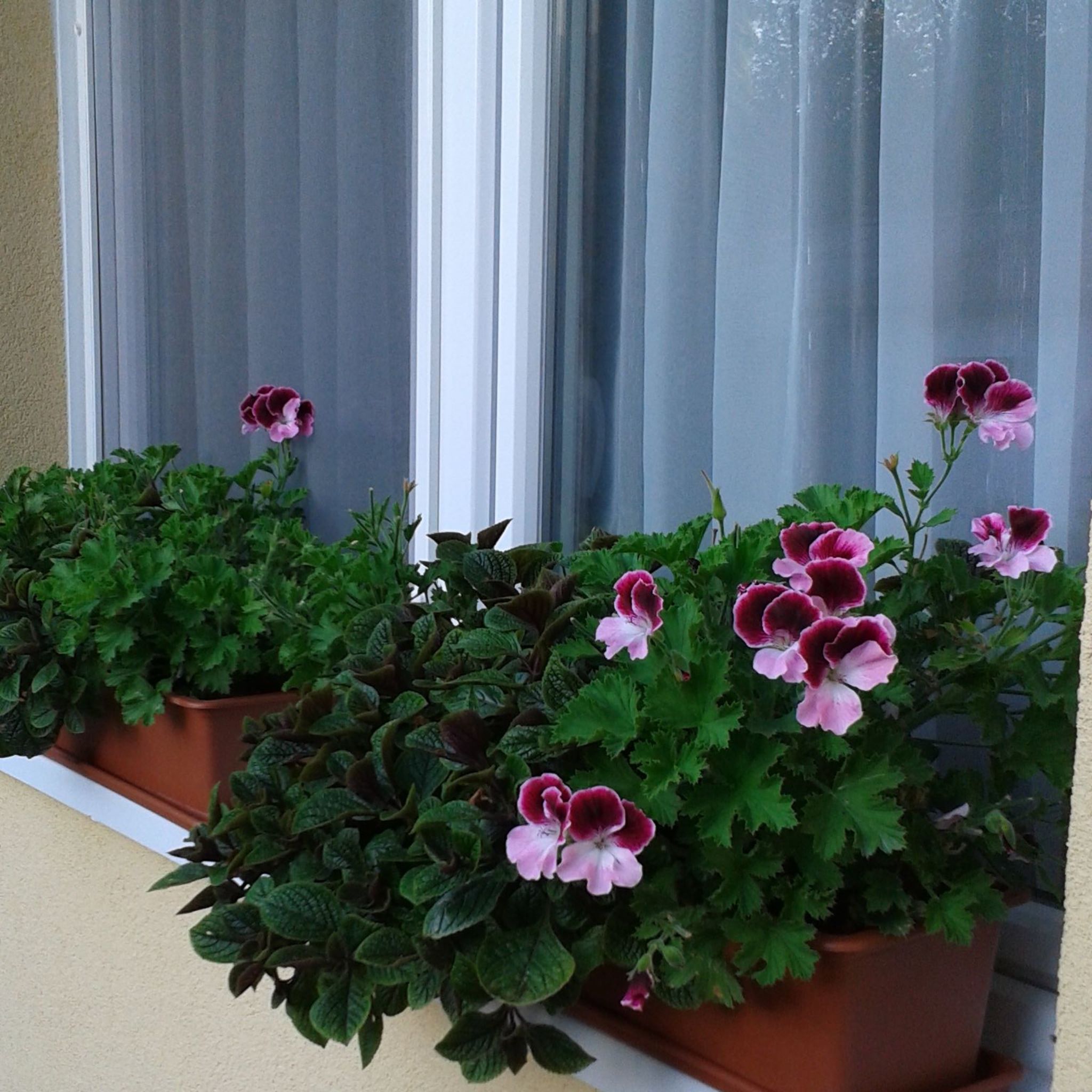 Ildikó Apartmanja – Parád fotó 10