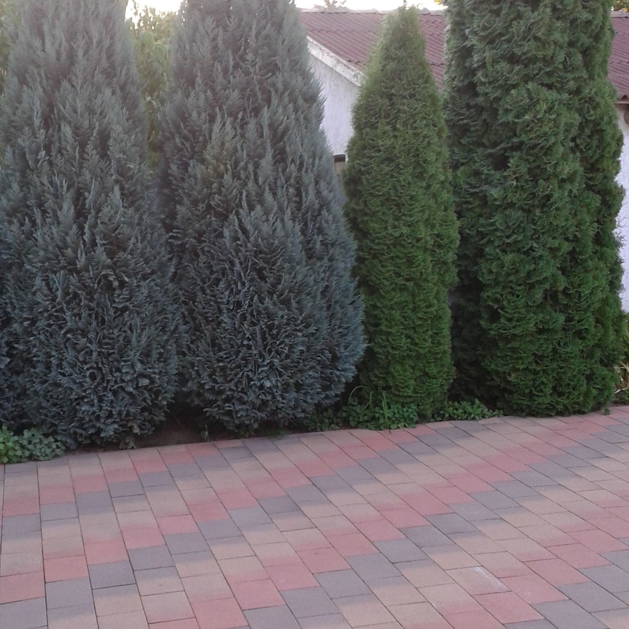 Ildikó Apartmanja – Parád fotó 12