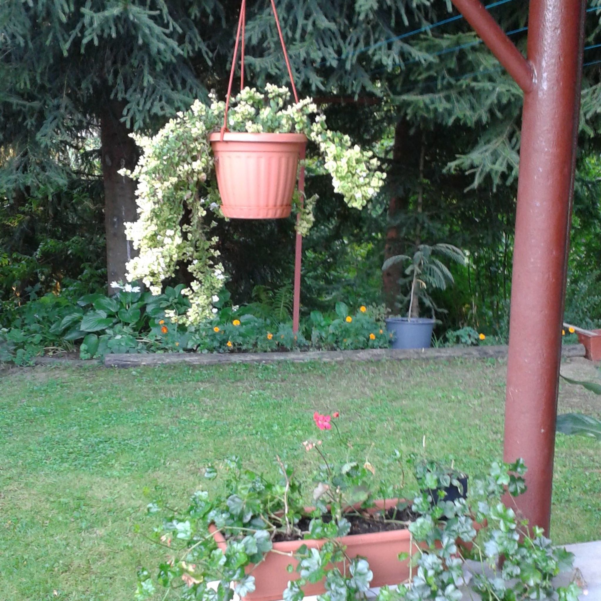 Ildikó Apartmanja – Parád fotó 14