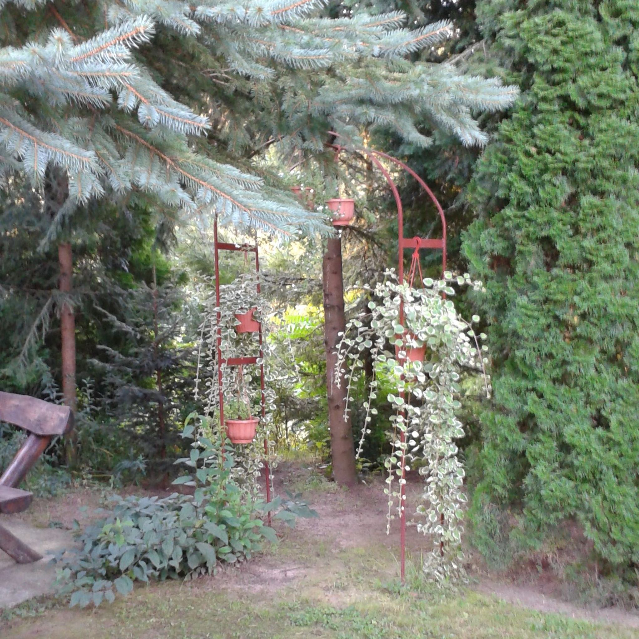 Ildikó Apartmanja – Parád fotó 15