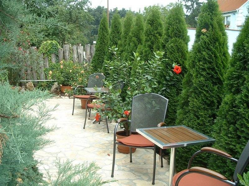 Mediterrán Apartman – Sárvár fotó 8