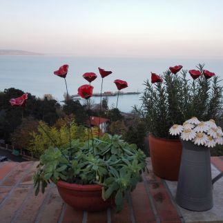 Balaton Beach Apartman21