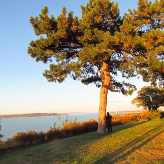 Balaton Beach Apartman30