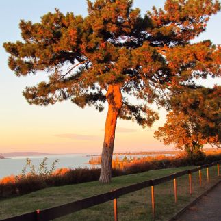 Balaton Beach Apartman31