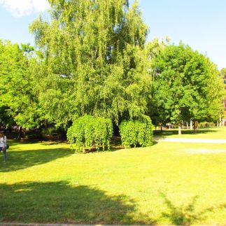 Balaton Beach Apartman53