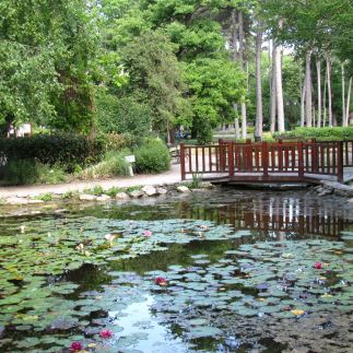 Balaton Beach Apartman56