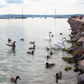 Balaton Beach Apartman60