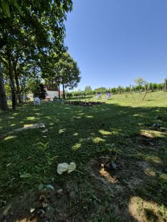 Ország Apartmanház – Zalakaros fotó 11