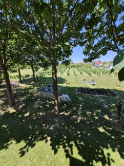 Ország Apartmanház – Zalakaros fotó 7