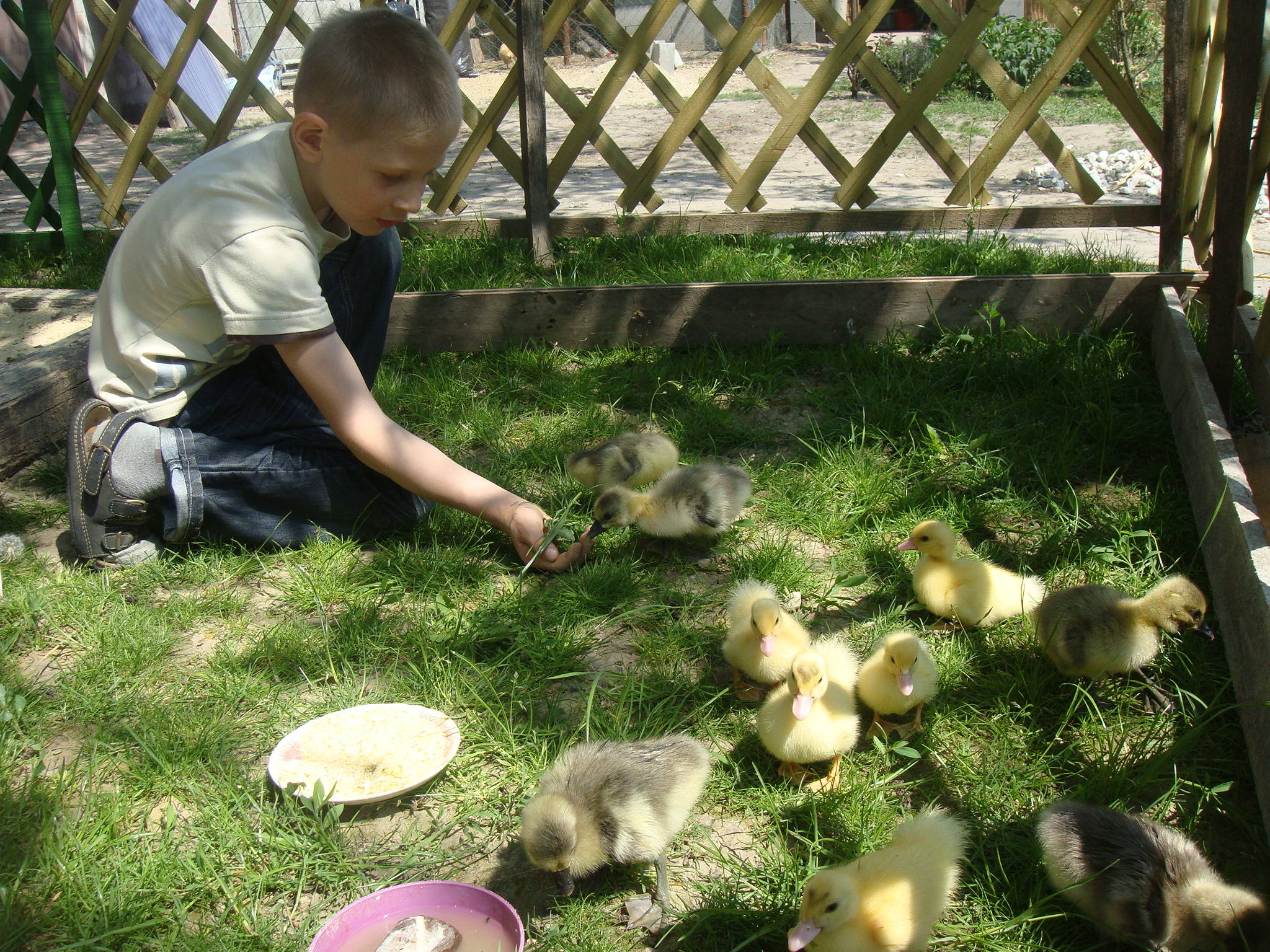 Falusi Park Vendégház – Pákozd fotó 19