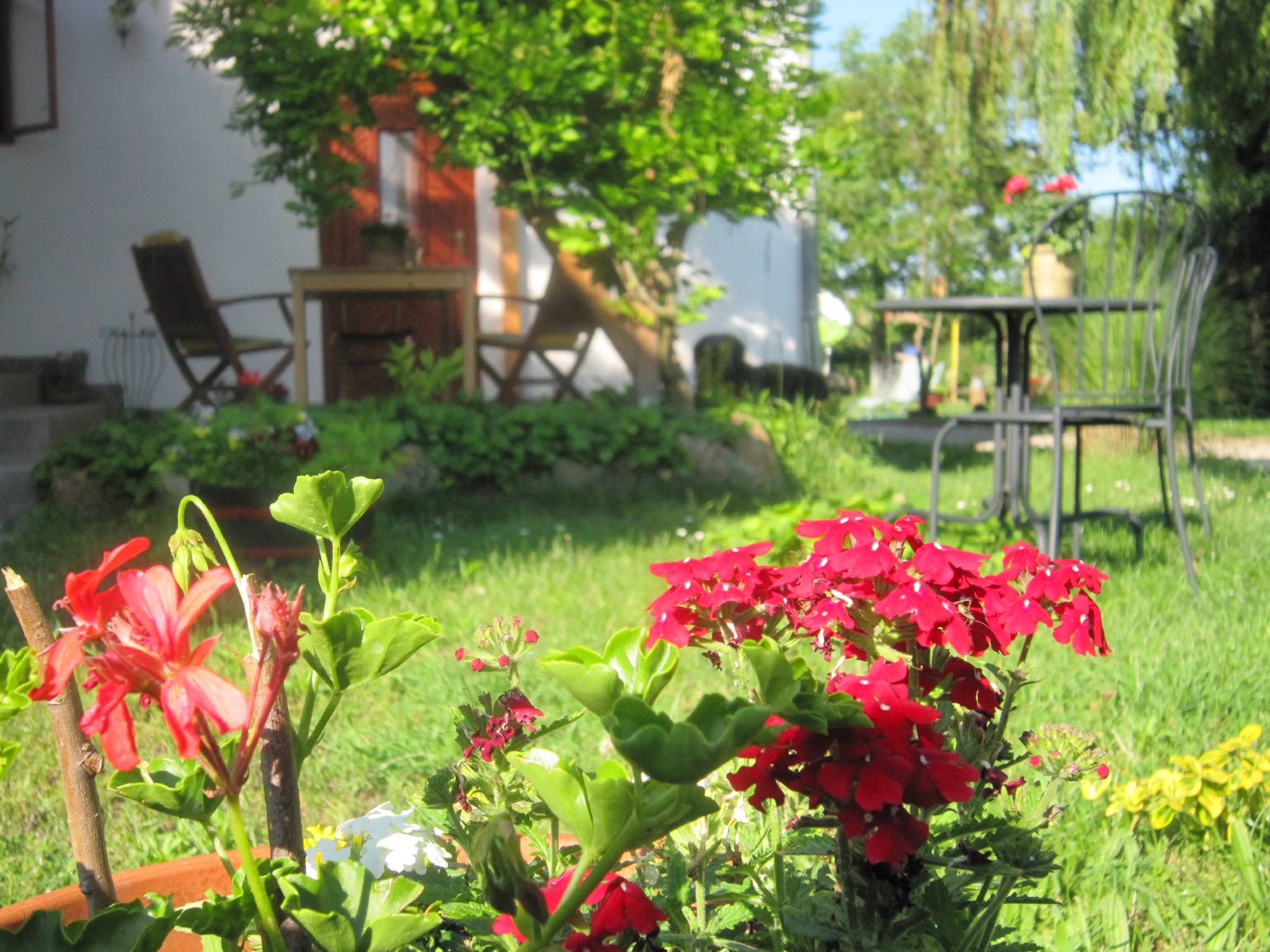 Falusi Park Vendégház – Pákozd fotó 26