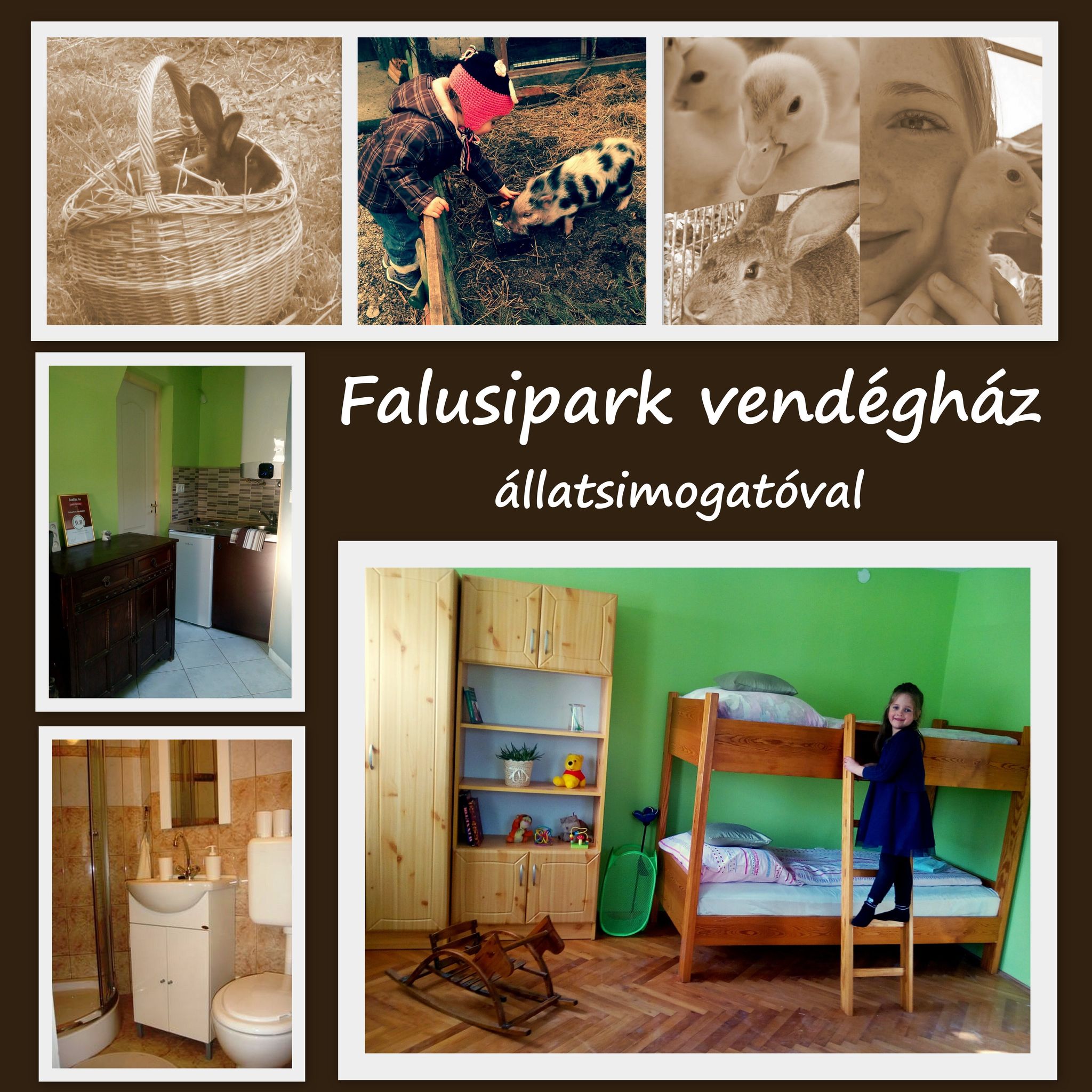 Falusi Park Vendégház – Pákozd fotó 2